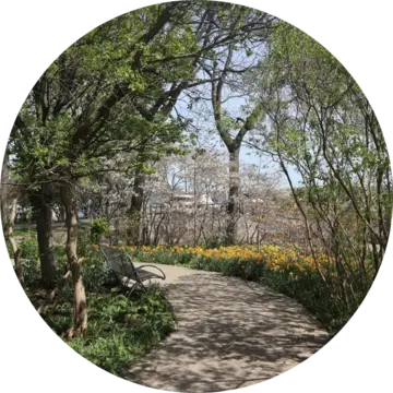 Park City Toronto logo
