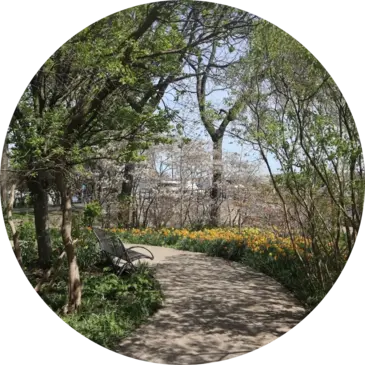 Park City Toronto logo